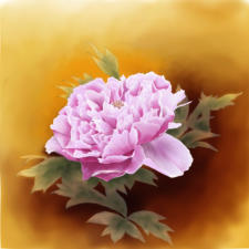 Peony