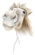 Camargue horse