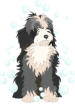 Abbey Wood dog spa